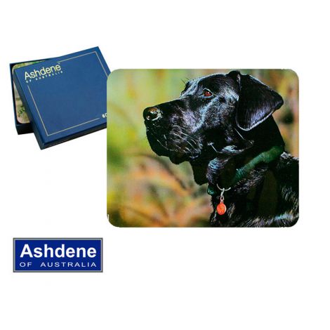 Podkładki korkowe Ashdene małe 6szt, Black Labrador